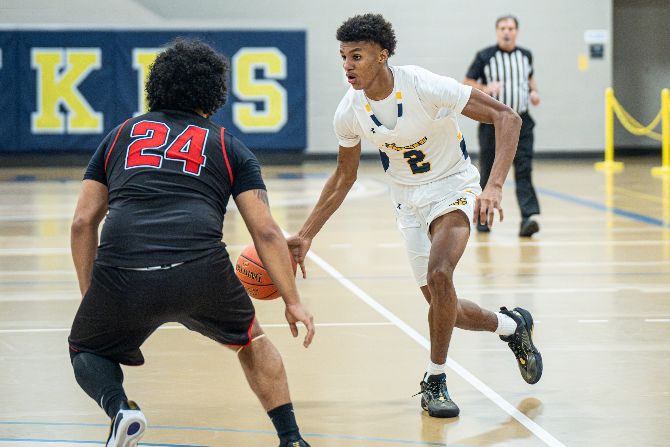 Purnell scored 25 points and grabbed 25 rebounds in Saturday's win over Sussex